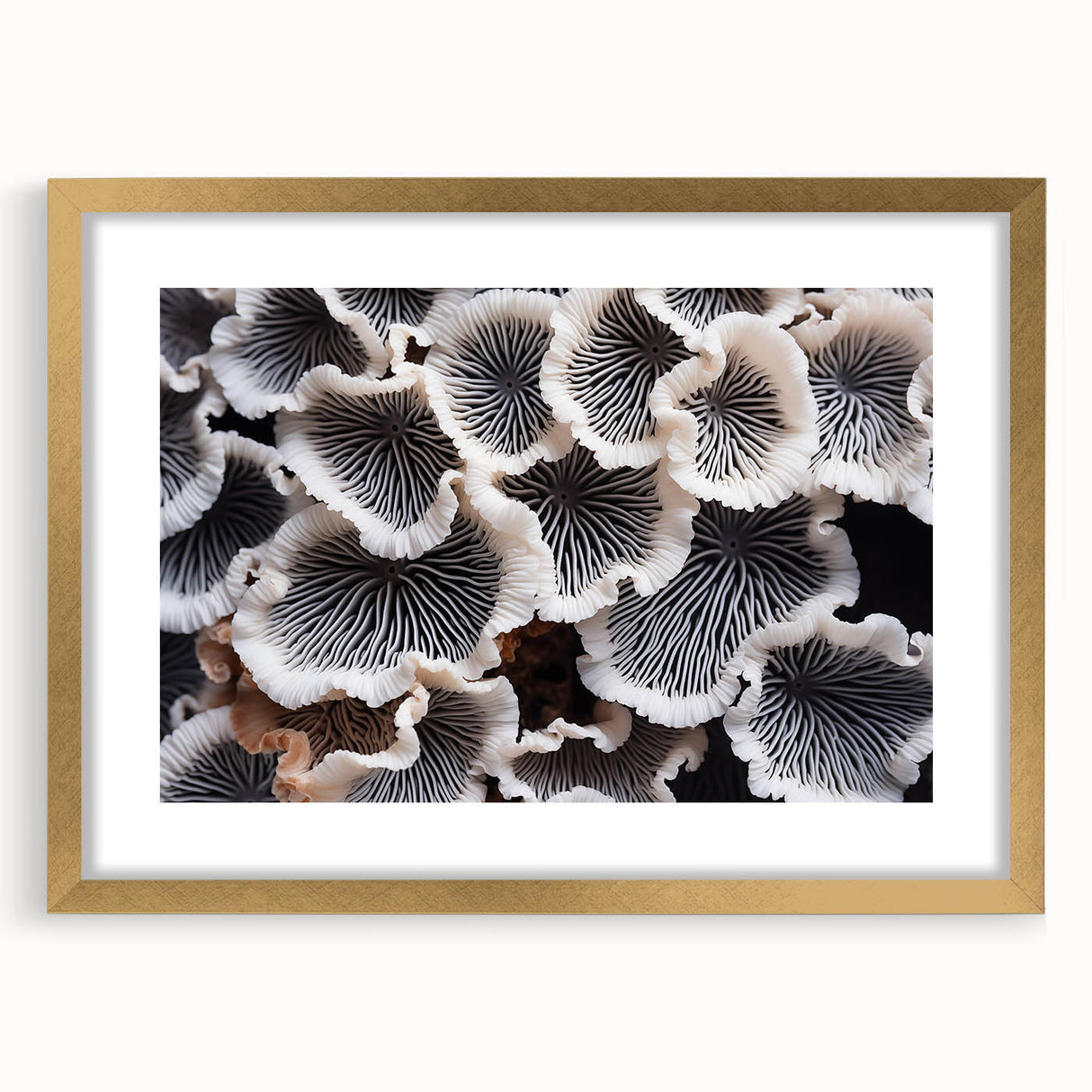 Botanical marine plants wall art design framed with a gold mat, showcasing vibrant colors and intricate details, perfect for enhancing home decor.
