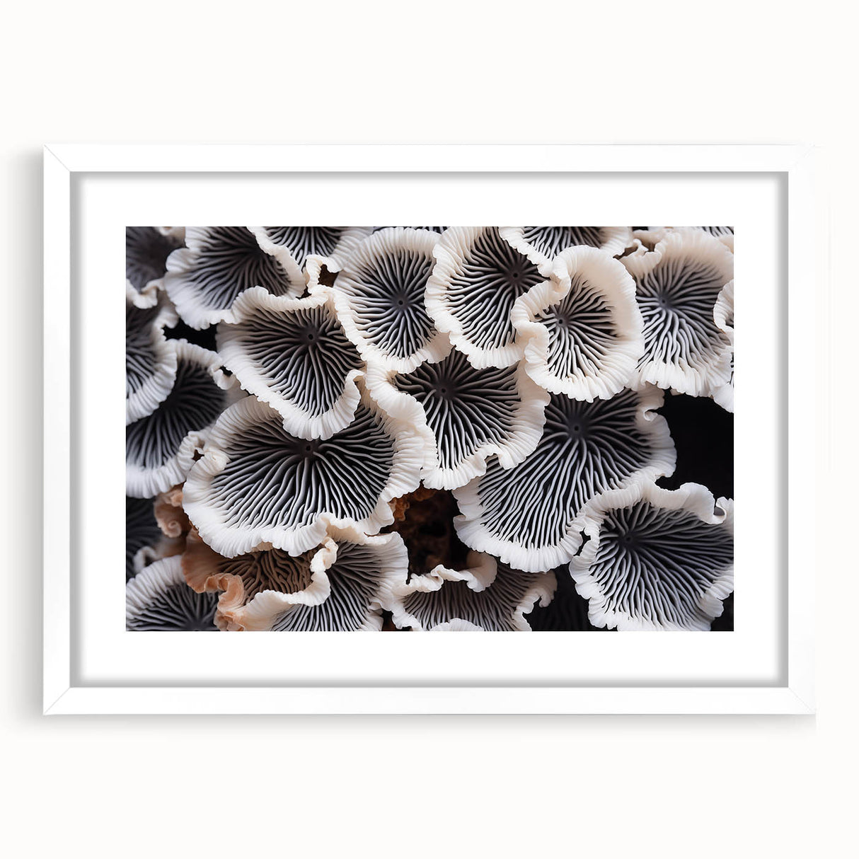 Botanical wall art print showcasing vibrant marine plants in a white frame with mat, perfect for home decor or coastal-themed interiors, adding a touch of nature.