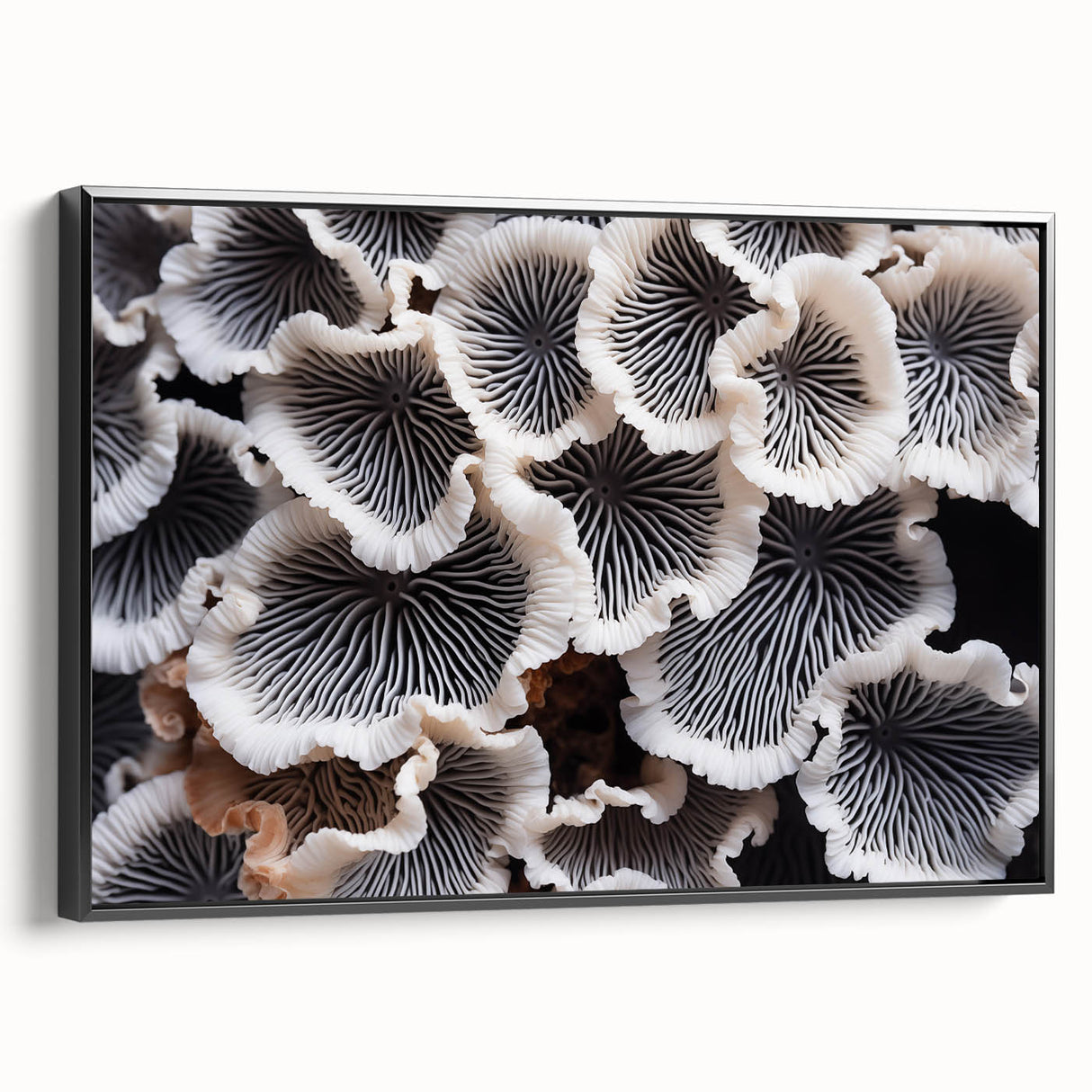 Framed canvas wall art showcasing a vibrant botanical marine plants design in black, highlighting intricate details and textures, perfect for home decor enhancement.
