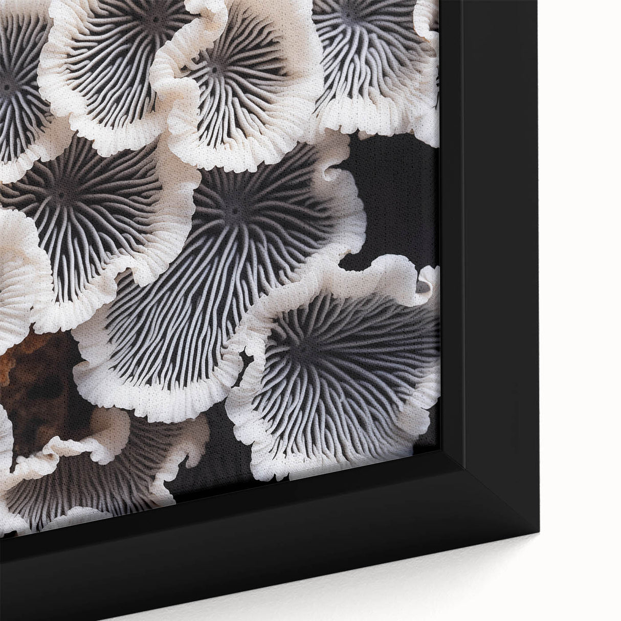 Close-up of a framed botanical wall art piece showcasing vibrant marine plants in detailed watercolor, perfect for enhancing home decor with nature-inspired elegance.