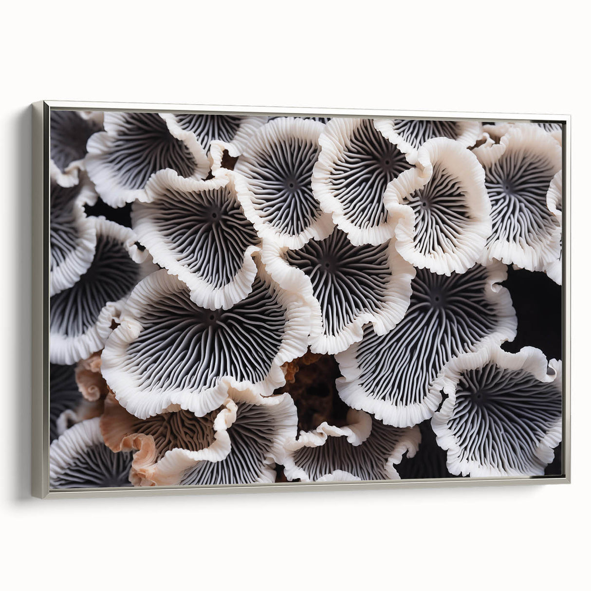 Framed canvas wall art showcasing a botanical marine plant design, featuring vibrant colors and intricate details, displayed with a sleek silver frame, ideal for home decor.