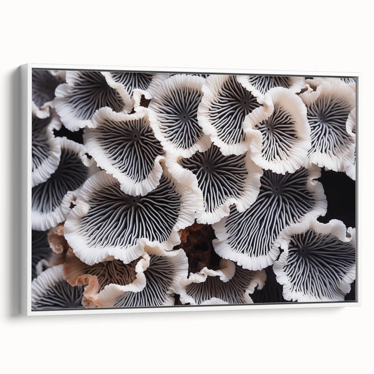 Framed wall art featuring a botanical marine plant design, showcasing vibrant colors and intricate details, set against a white background for a modern touch.