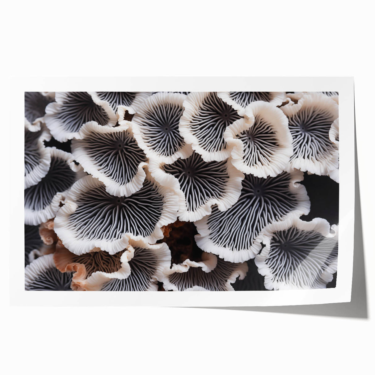 Botanical wall art print featuring vibrant marine plants in detailed illustrations, rolled for easy display. Ideal for nature lovers and home decor enthusiasts.