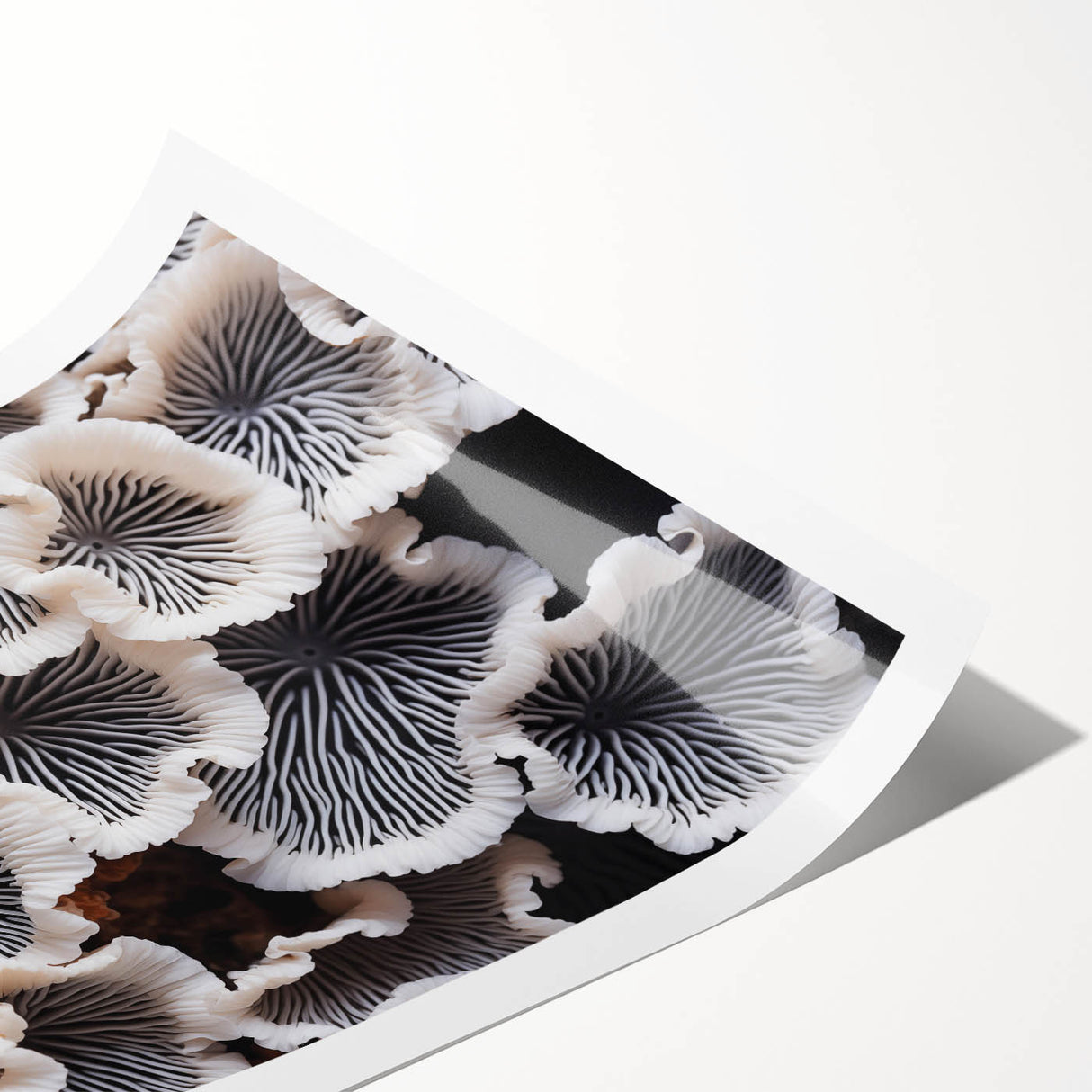 Botanical marine plants wall art print showcasing vibrant colors and intricate details of aquatic flora, rolled and ready for display in any coastal decor setting.