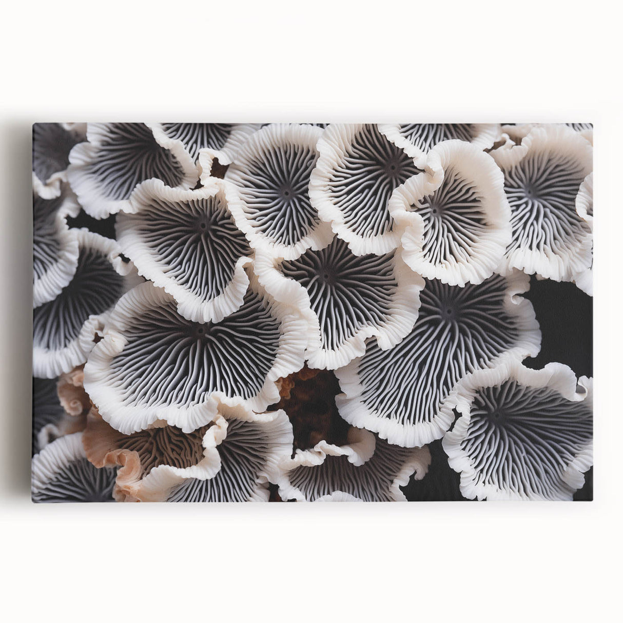 Botanical marine plants wall art collection displayed on stretched canvas, showcasing vibrant colors and intricate details of ocean flora, perfect for coastal decor.