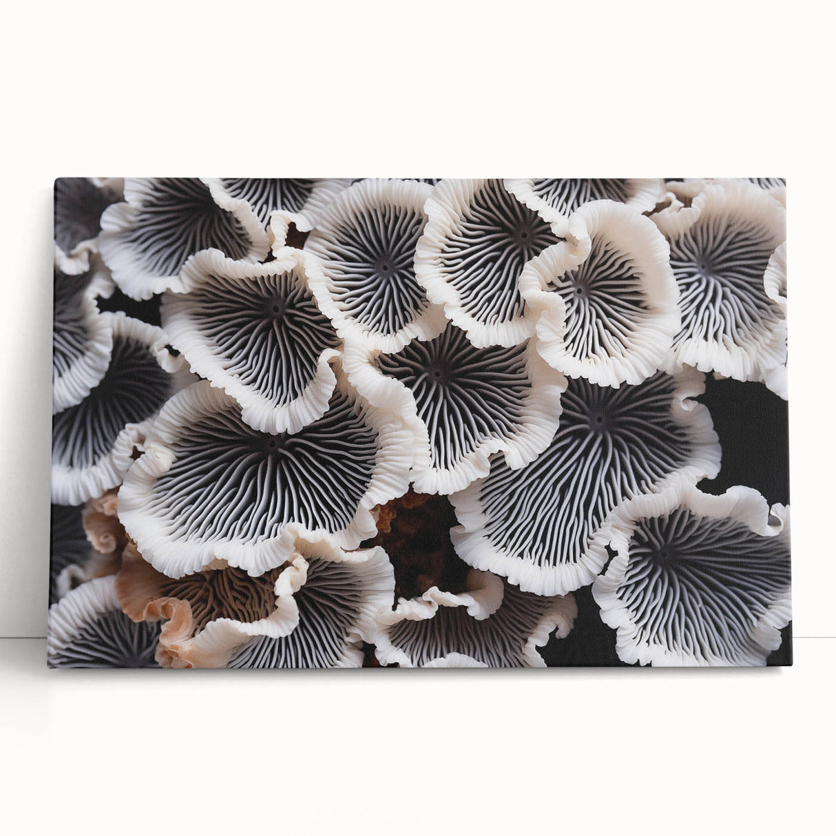 Botanical wall art featuring a vibrant marine plants design on stretched canvas, showcasing intricate details and rich colors, perfect for home decor or nature enthusiasts.