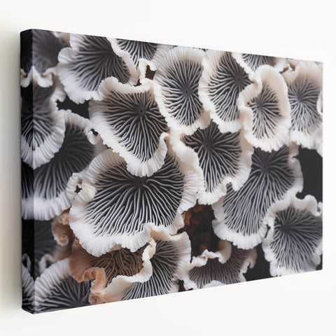 Stretched canvas showcasing vibrant botanical marine plants design, featuring intricate details and rich colors, perfect for enhancing home decor in coastal themes.