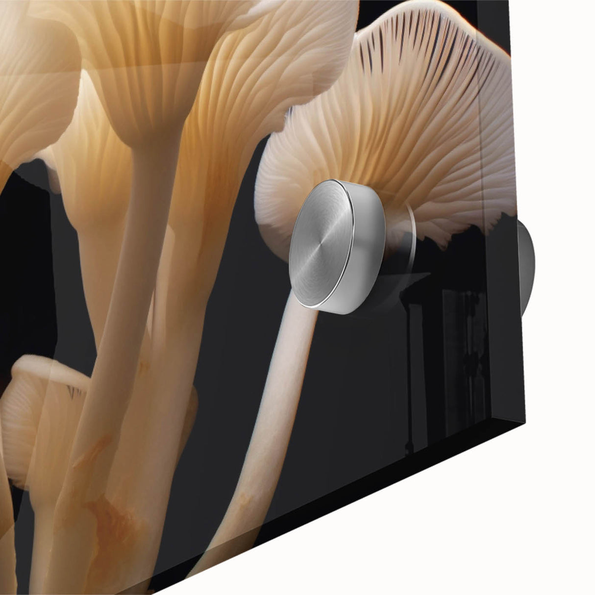 Close-up view of a vibrant botanical wall art design featuring colorful flowers and mushrooms, printed on acrylic glass, showcasing intricate details and textures. Ideal for enhancing home decor with a natural theme.