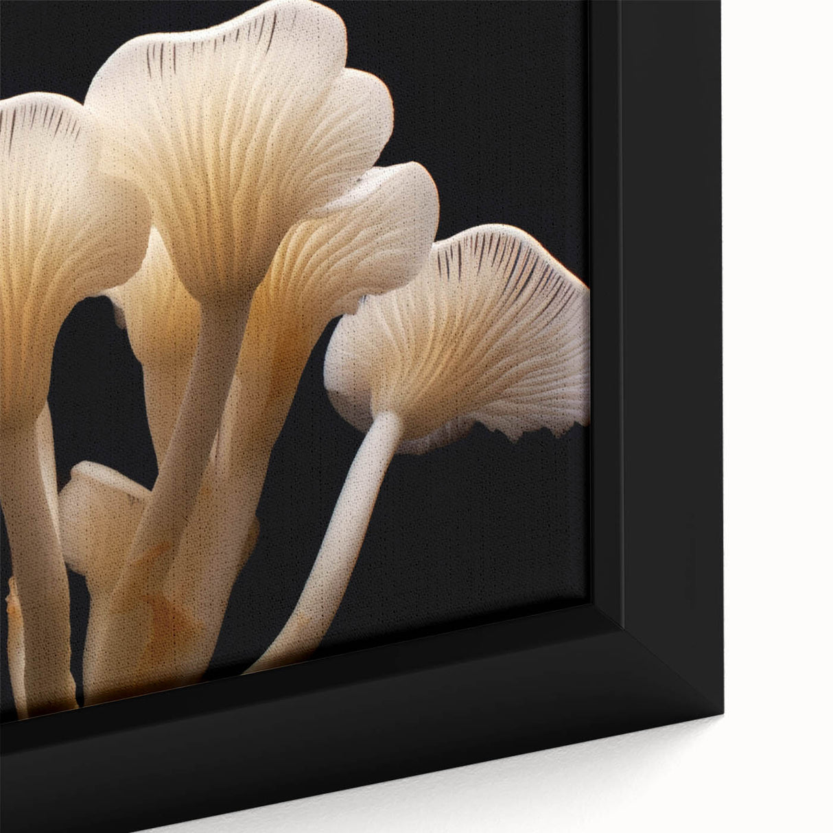 Close-up of a vibrant botanical wall art design featuring intricate mushrooms and flowers, beautifully framed in a modern style, ideal for home decor.