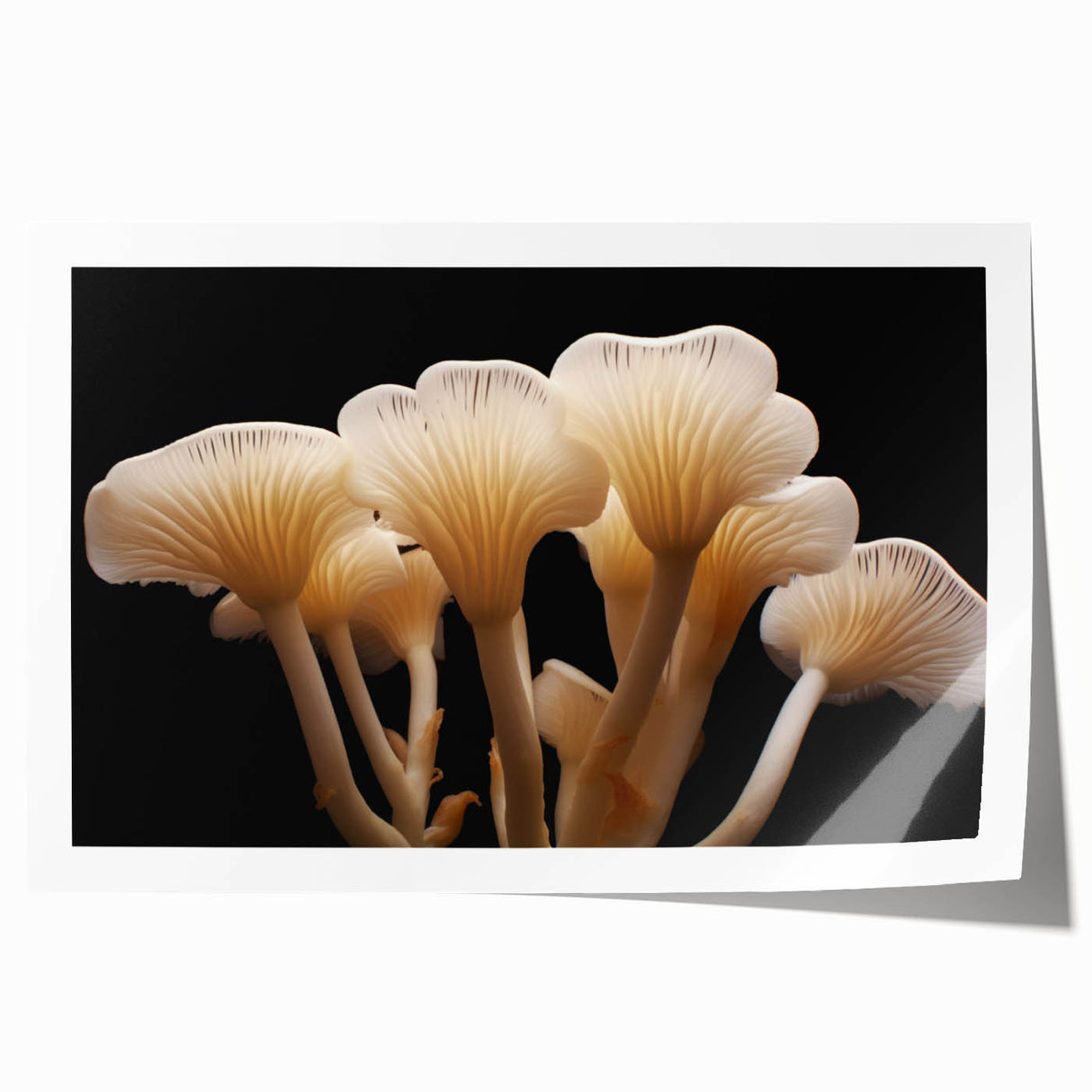 Botanical wall art print showcasing a vibrant floral and mushroom design, rolled for easy display, featuring intricate details and rich colors. Ideal for nature-themed decor.