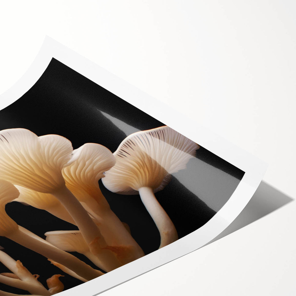 Botanical wall art print showcasing vibrant flowers and mushrooms in a harmonious design, rolled and ready for framing, perfect for nature-inspired decor.