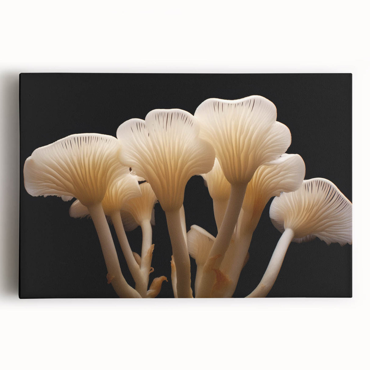Vibrant stretched canvas wall art featuring a botanical design of colorful flowers and mushrooms, ideal for adding a natural touch to home decor.