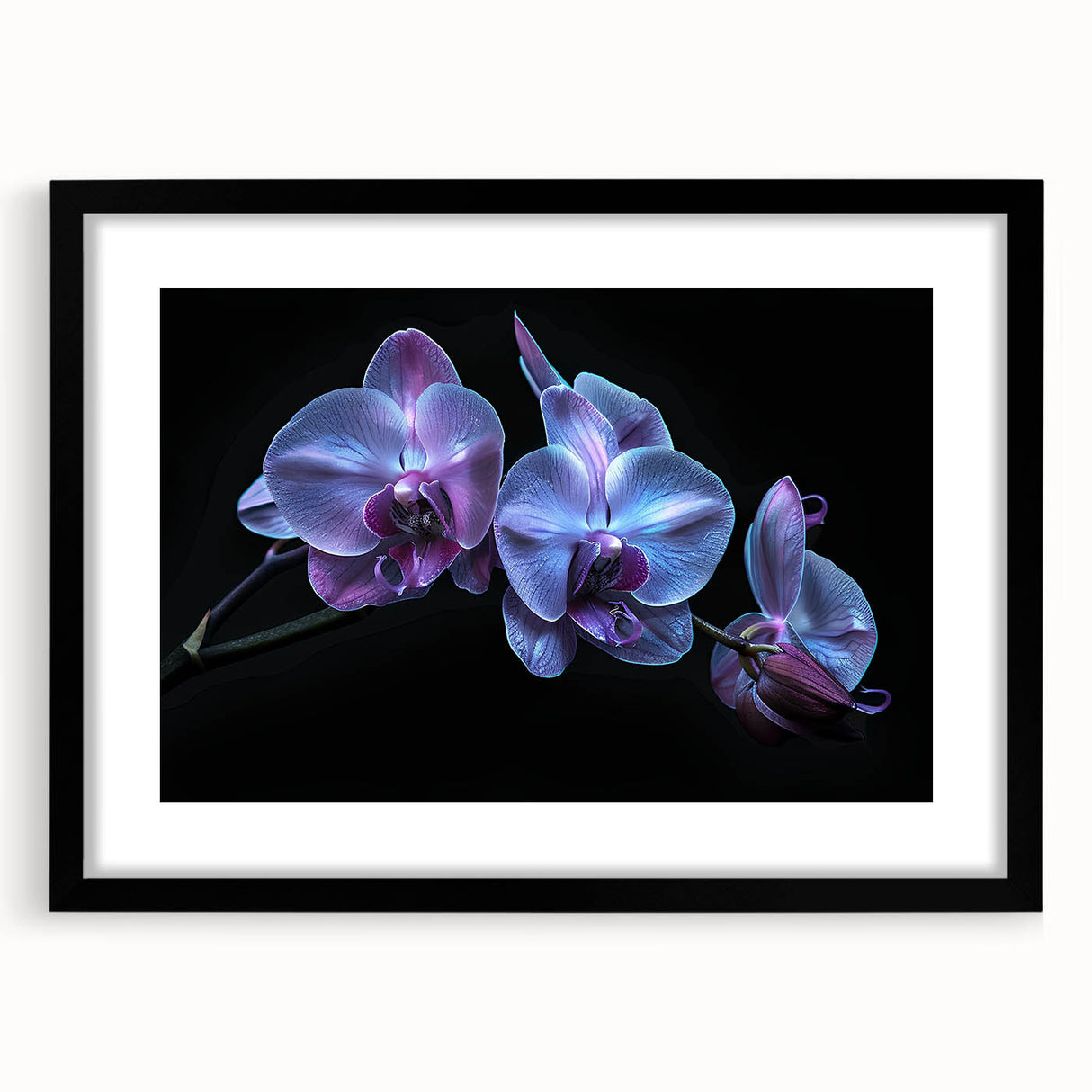 Framed botanical orchid wall art design showcasing vibrant flowers with intricate details, set against a sleek black frame, perfect for home decor enhancement.