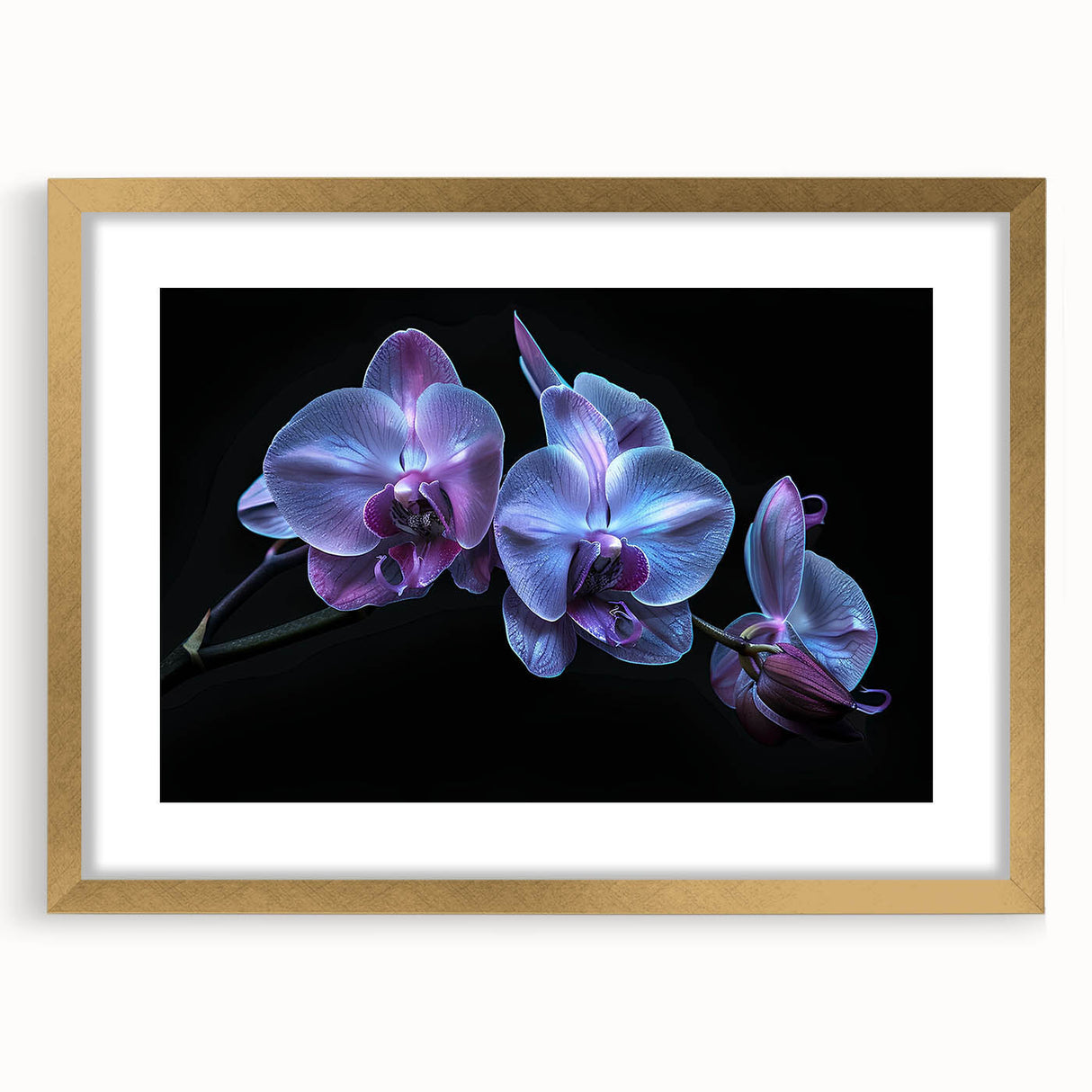 Botanical wall art featuring a stunning orchid design, framed in gold with a mat, showcasing vibrant colors and intricate details, perfect for home decor.