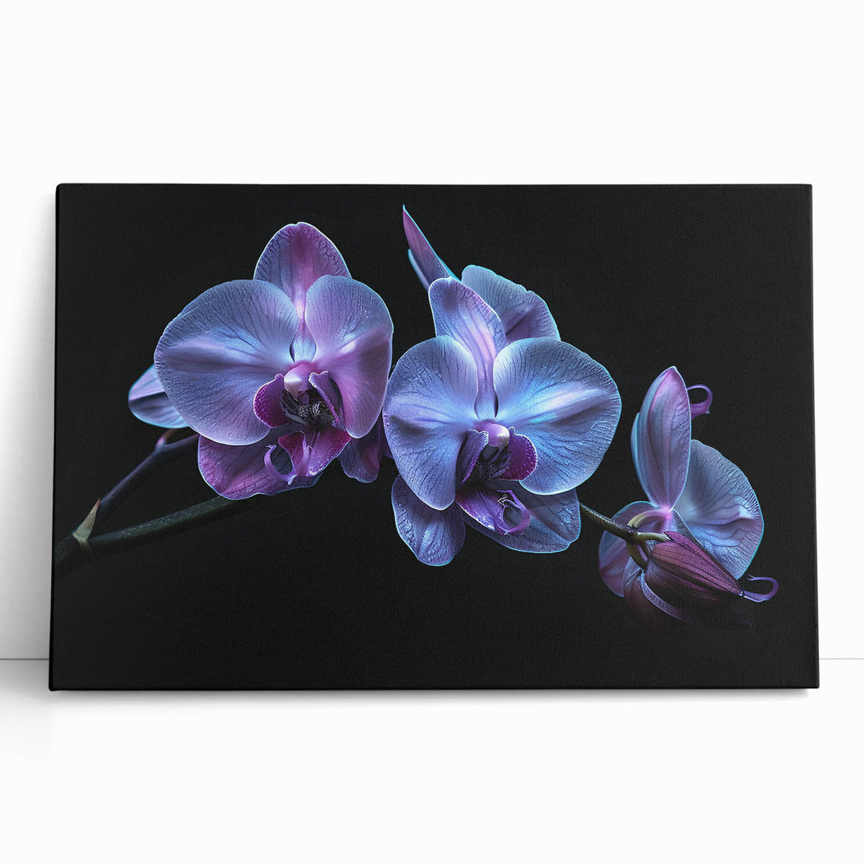 Stretched canvas wall art featuring a vibrant botanical orchid design, showcasing rich colors and intricate details, perfect for enhancing any modern decor.