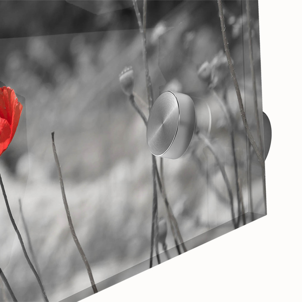 Close-up of a vibrant poppy wall art design in a botanical style, showcasing intricate details and vivid colors, perfect for enhancing home decor aesthetics.