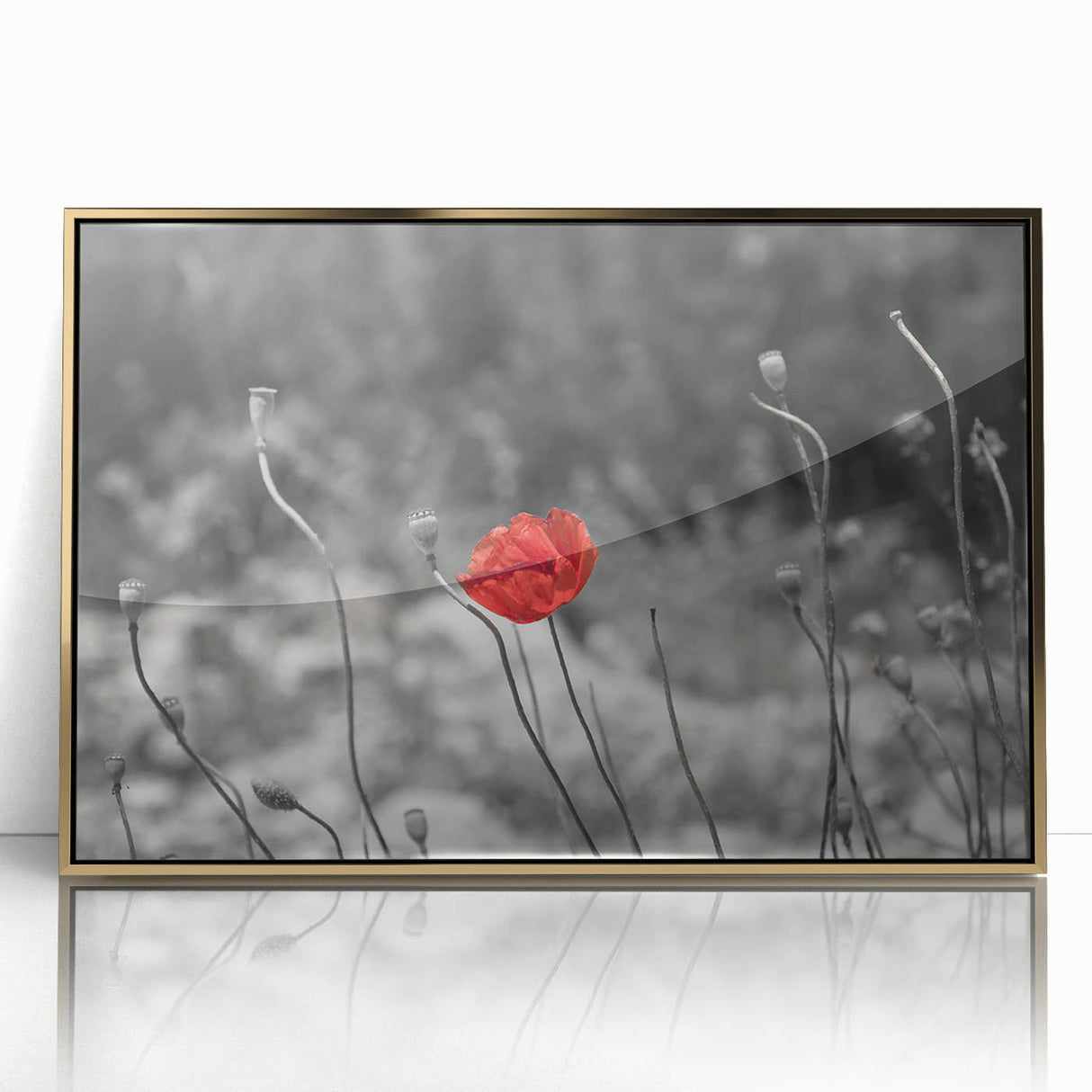 Framed acrylic wall art featuring a vibrant botanical poppy design with gold accents, perfect for adding a touch of elegance to home decor.