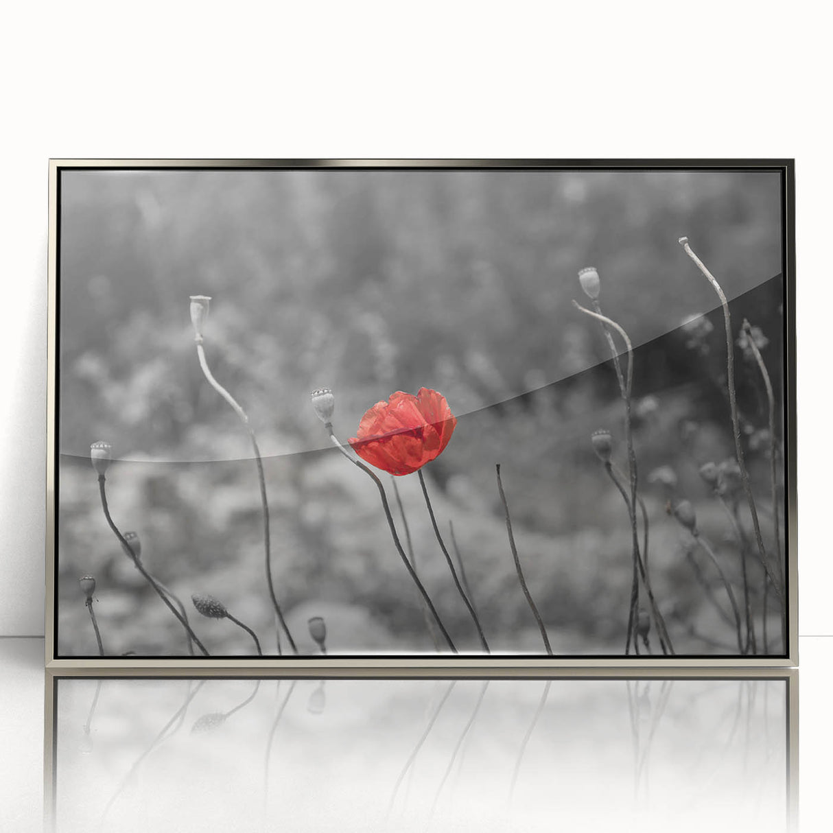 Framed botanical wall art showcasing a vibrant poppy design with intricate details, set in a sleek silver frame, perfect for enhancing modern decor.