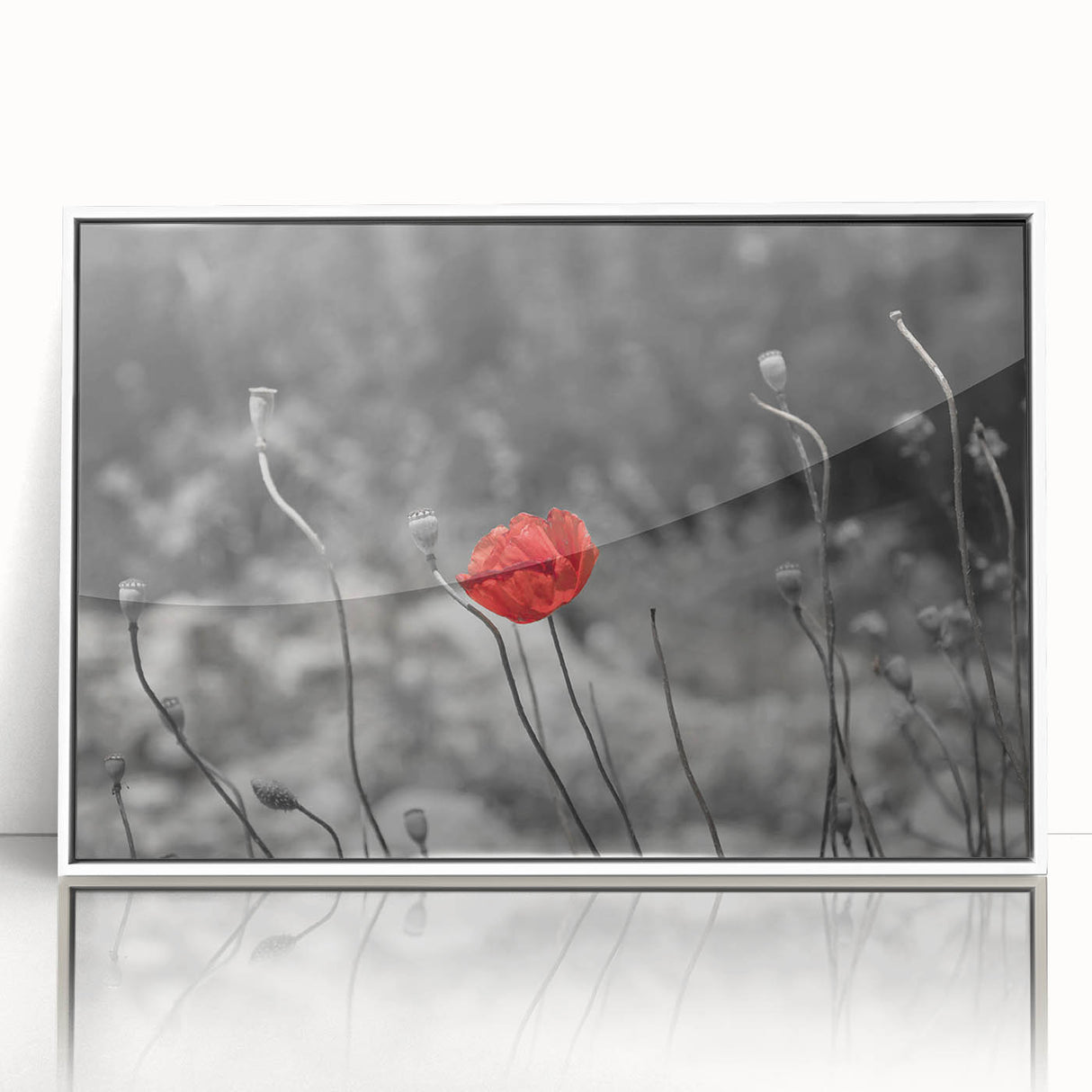 Framed wall art featuring a botanical poppy design with vibrant red and green colors, elegantly displayed in a white frame, perfect for home decor enhancement.