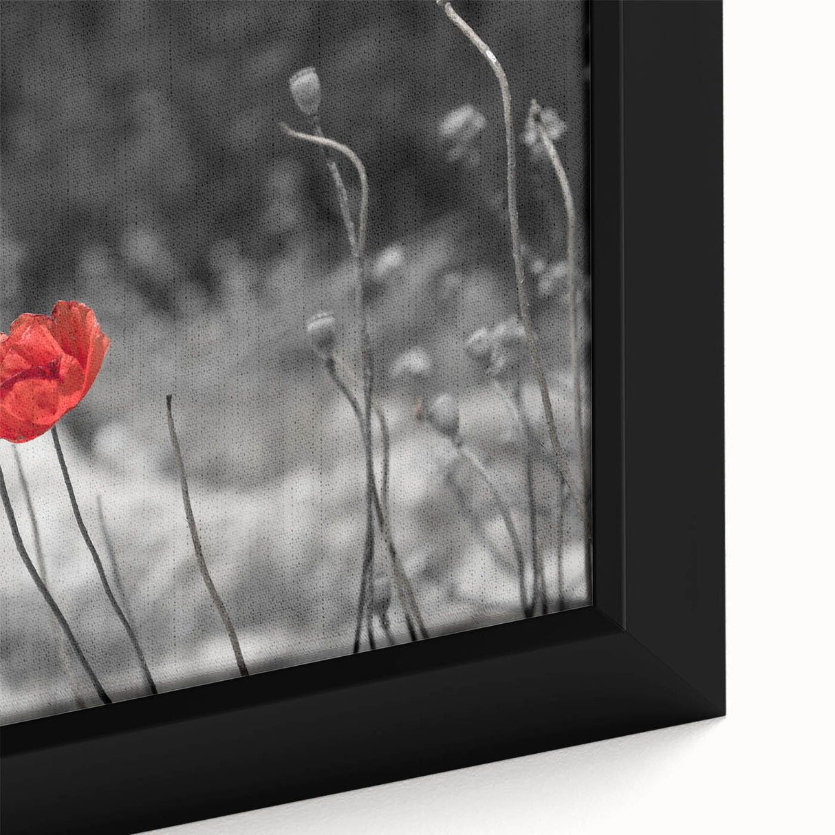 Close-up of a framed canvas wall art featuring a vibrant botanical design of poppy flowers, showcasing intricate details and vivid colors, perfect for home decor.