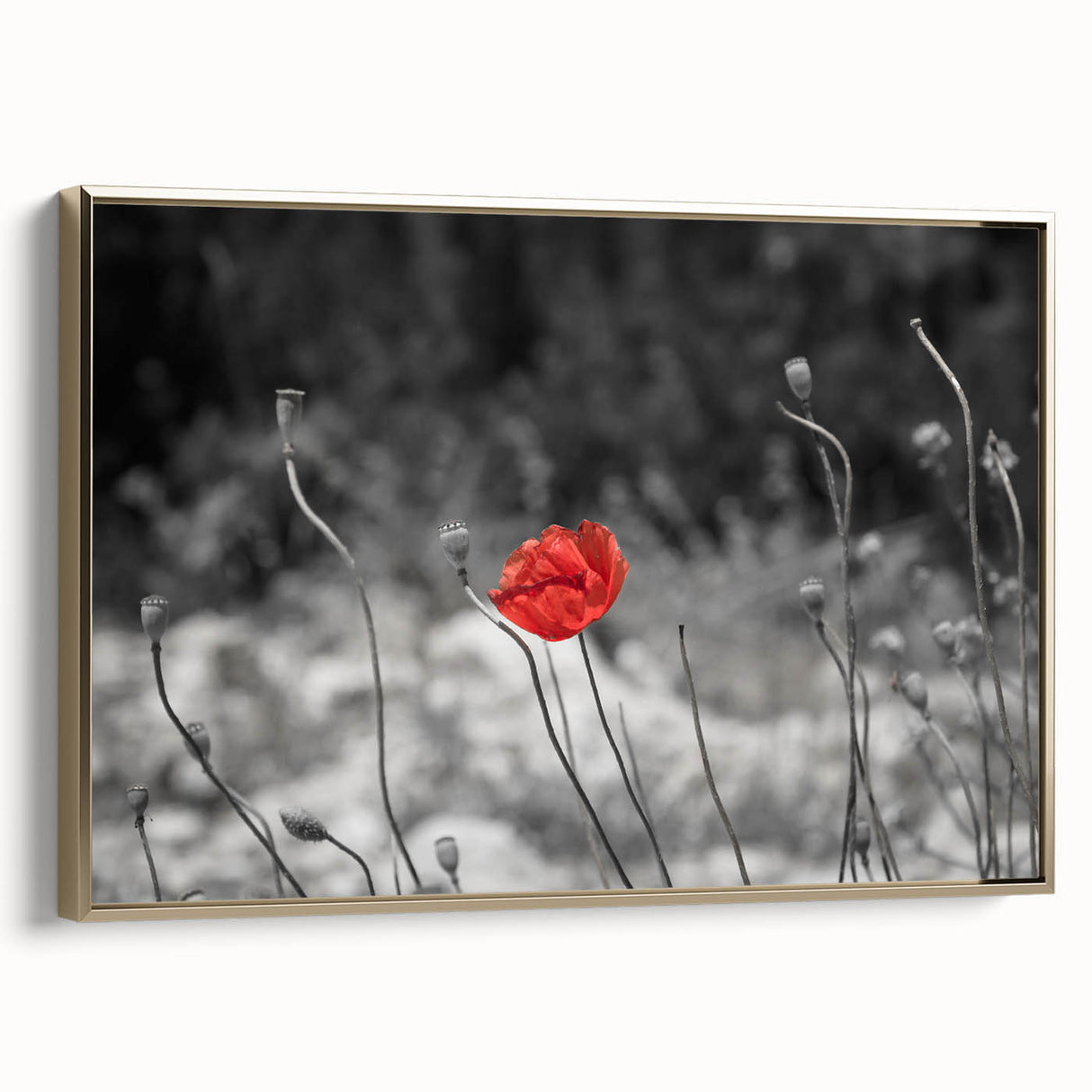 Framed wall art showcasing a botanical poppy design in vibrant colors, featuring a gold frame that enhances the artwork's elegance, ideal for home decor.