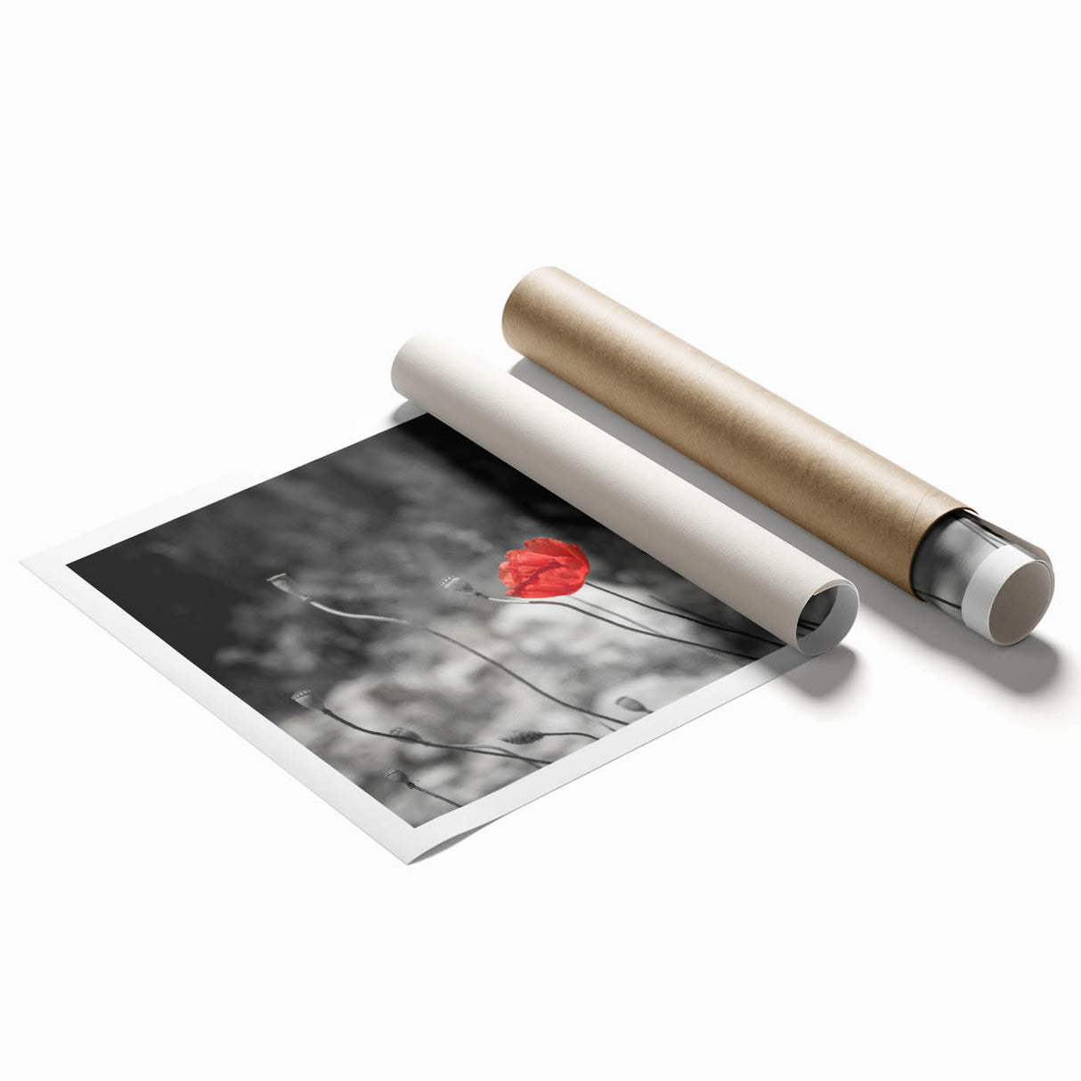 Vibrant botanical poppy wall art print showcasing a colorful floral design, rolled and ready for framing, perfect for home decor enthusiasts.