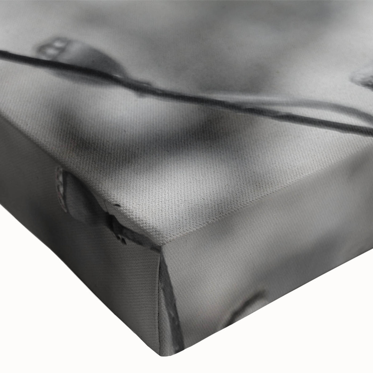 Close-up of a vibrant botanical poppy design on stretched canvas wall art, showcasing intricate details and rich colors, perfect for home decor enhancement.