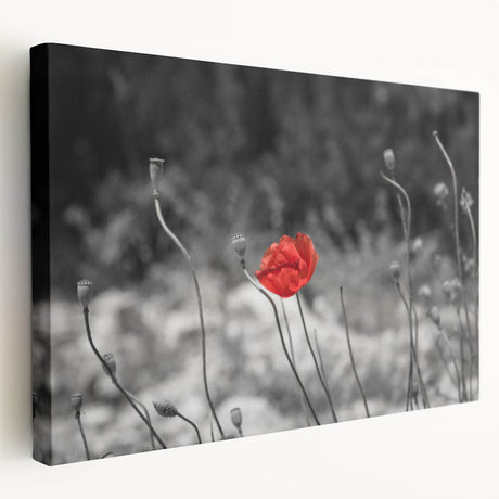 Stretched canvas wall art showcasing a vibrant poppy botanical design, featuring bold colors and intricate details, perfect for enhancing home decor aesthetics.
