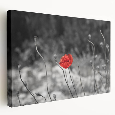 Stretched canvas wall art showcasing a vibrant poppy botanical design, featuring bold colors and intricate details, perfect for enhancing home decor aesthetics.