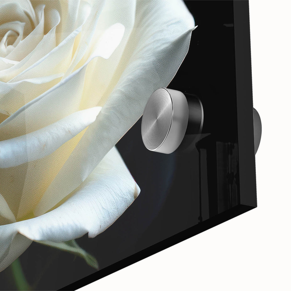 Close-up of a botanical rose wall art piece, showcasing vibrant colors and intricate details on acrylic glass, perfect for home décor or floral-themed design.