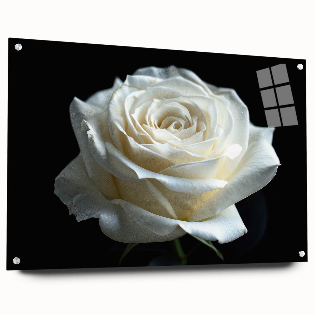 Botanical wall art display featuring a side view of a rose design encapsulated in acrylic glass, showcasing vibrant colors and detailed floral elements, perfect for home decor.