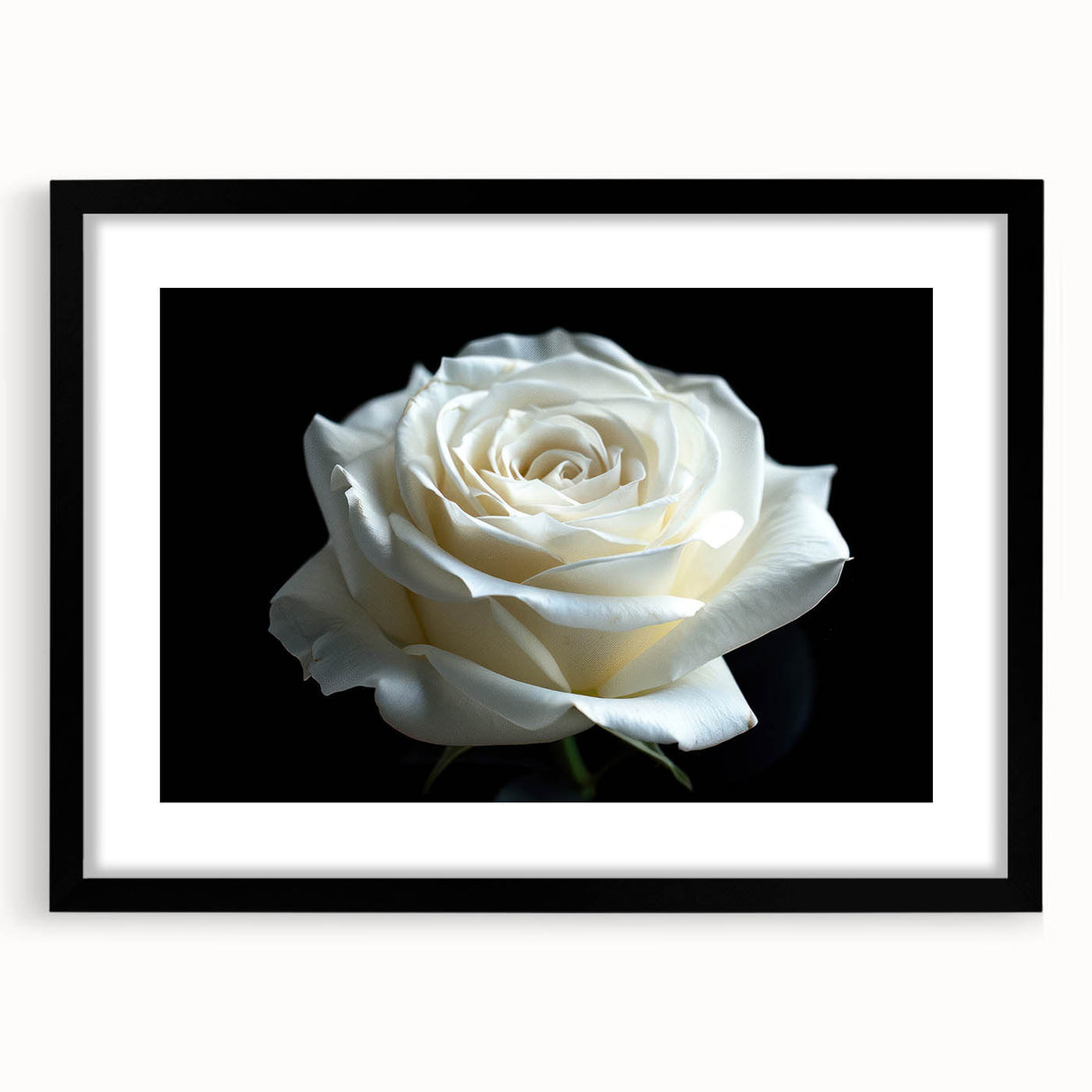 Elegant black-framed wall art featuring a botanical rose design, with intricate floral details and a matte finish, ideal for enhancing home decor.