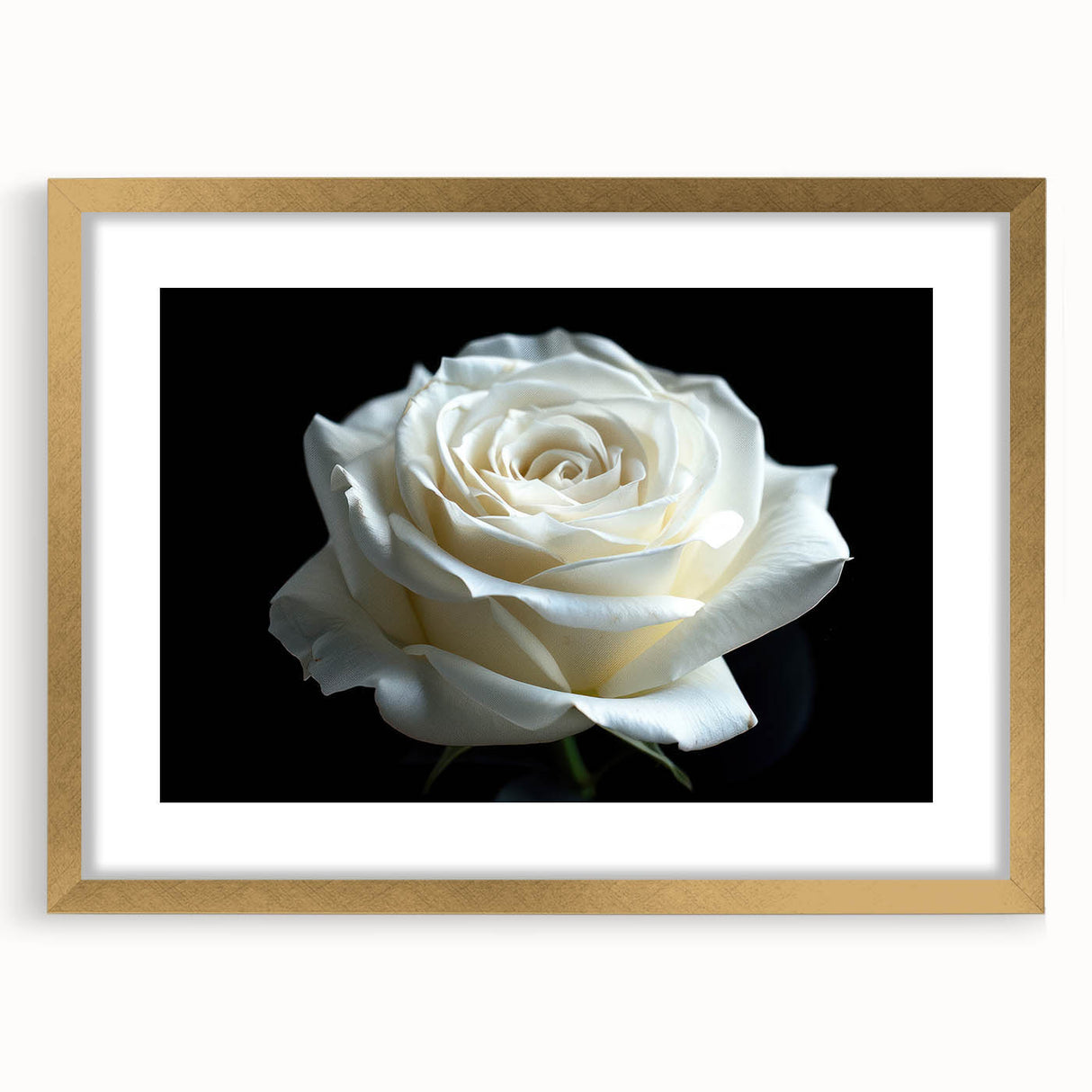 Botanical rose wall art design framed in gold, featuring intricate floral details and a mat, perfect for home decor. Ideal for adding a touch of elegance to any space.