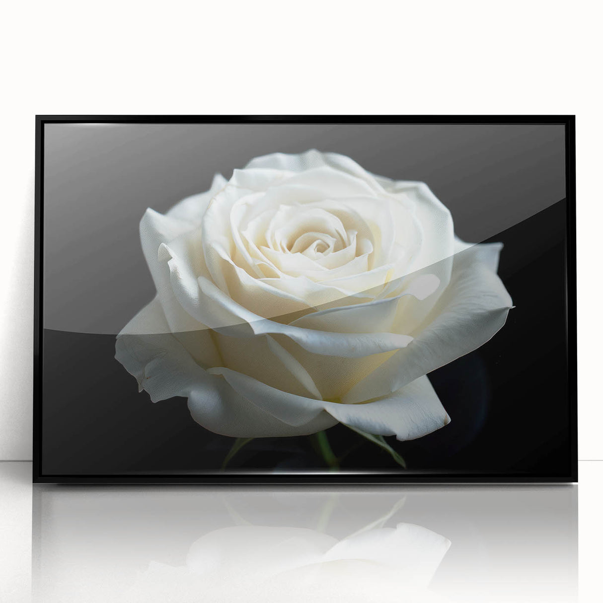 Framed acrylic wall art featuring a botanical rose design with vibrant colors, showcasing intricate floral details against a sleek black frame, perfect for home decor.