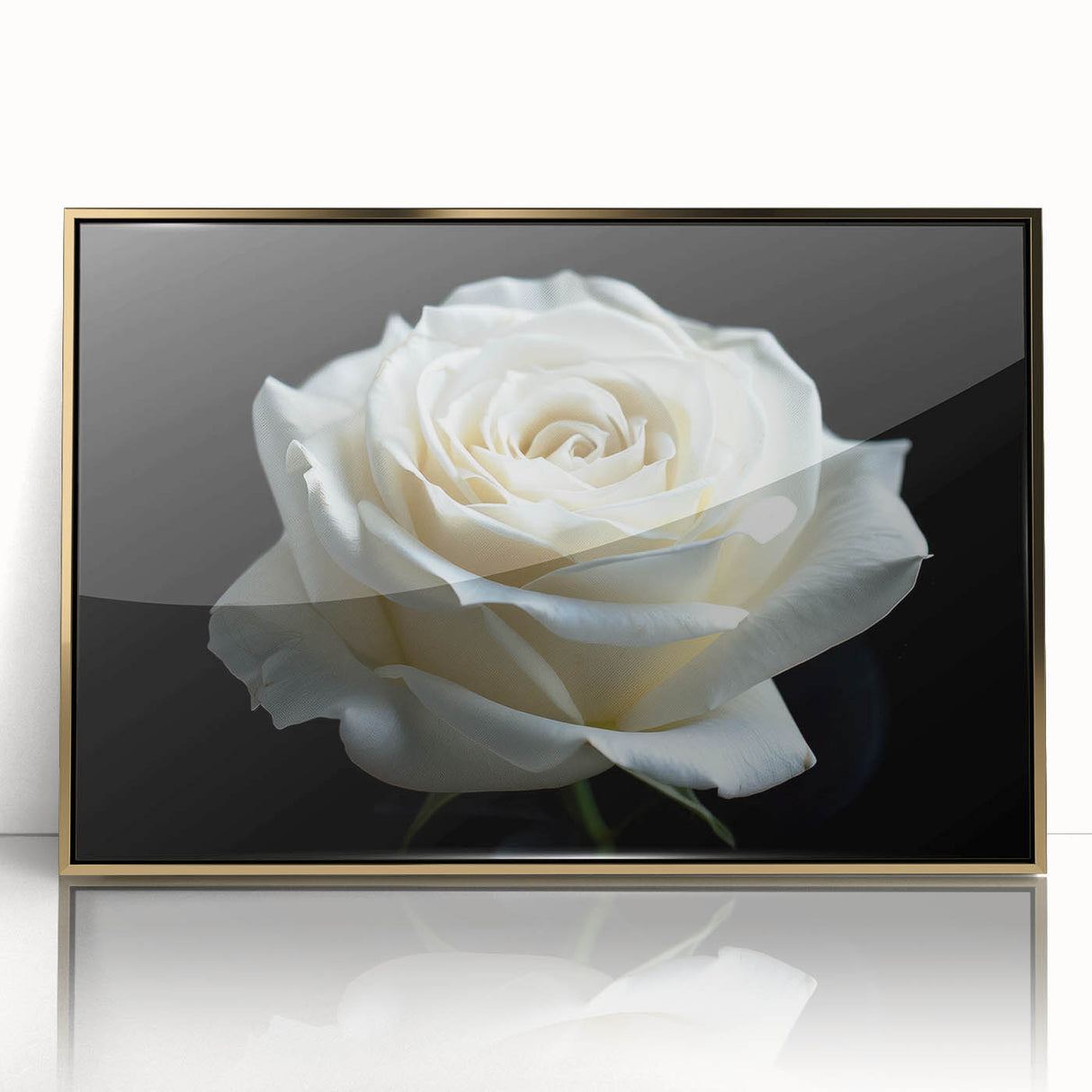 Framed wall art featuring a botanical rose design with vibrant colors, elegantly presented in a gold-accented frame, ideal for home decor enhancement.