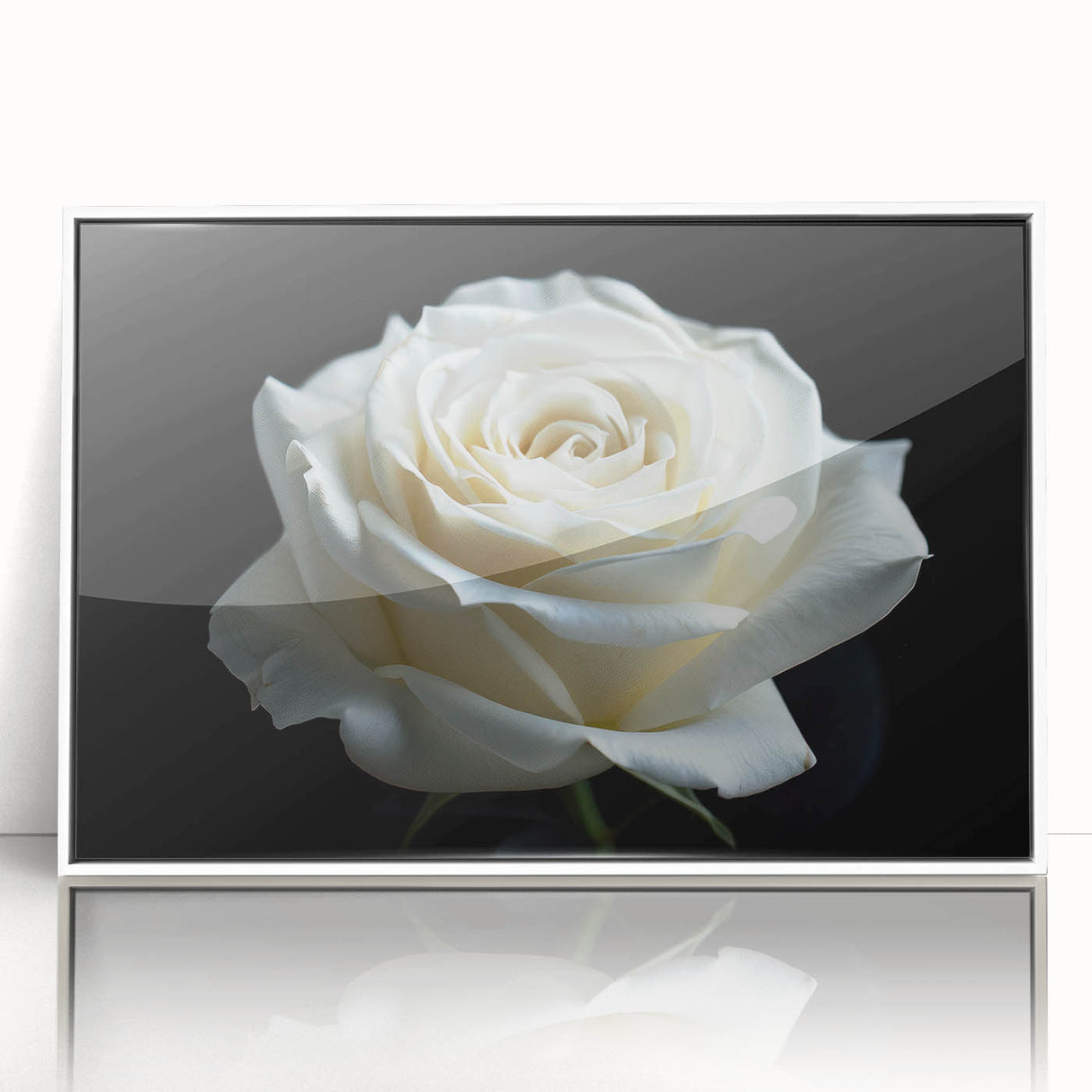 Framed botanical wall art featuring a delicate rose design, presented in a sleek white frame with an acrylic front, perfect for enhancing home décor.