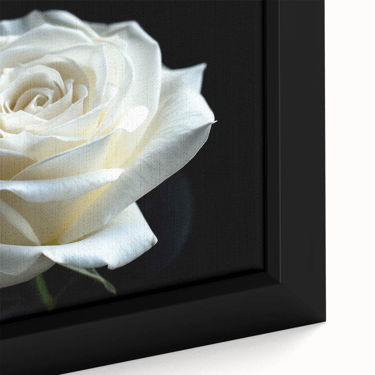 Close-up of a framed botanical rose wall art piece, showcasing intricate details and vibrant colors, perfect for enhancing home decor with a floral theme.