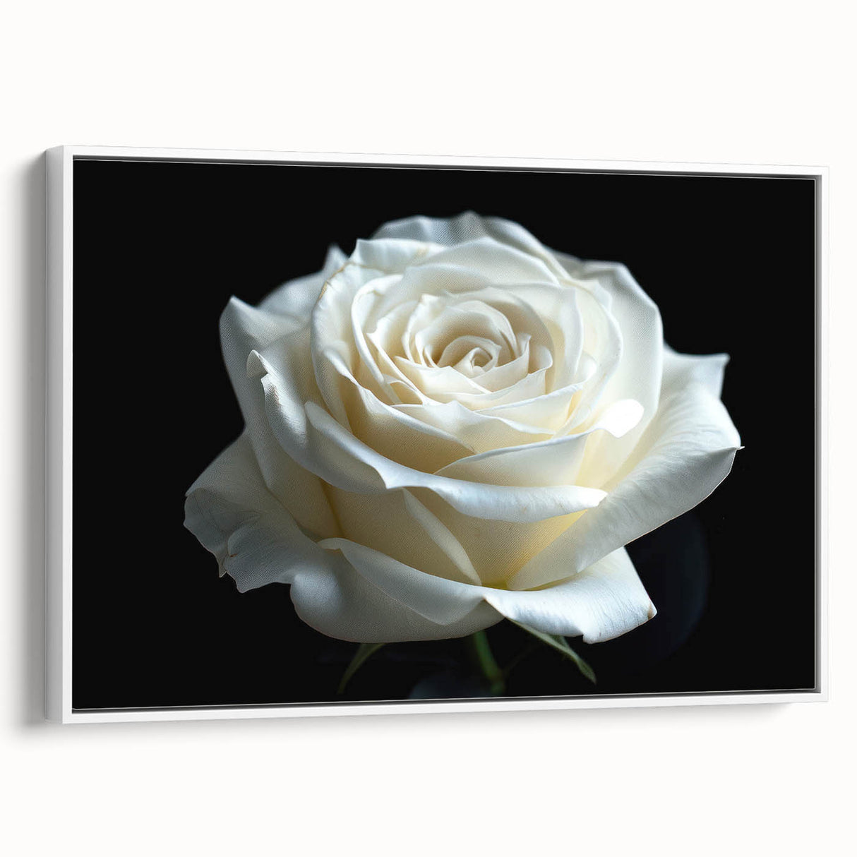 Framed canvas wall art featuring a botanical rose design with vibrant colors, set against a white background, showcasing elegant floral details for home décor.