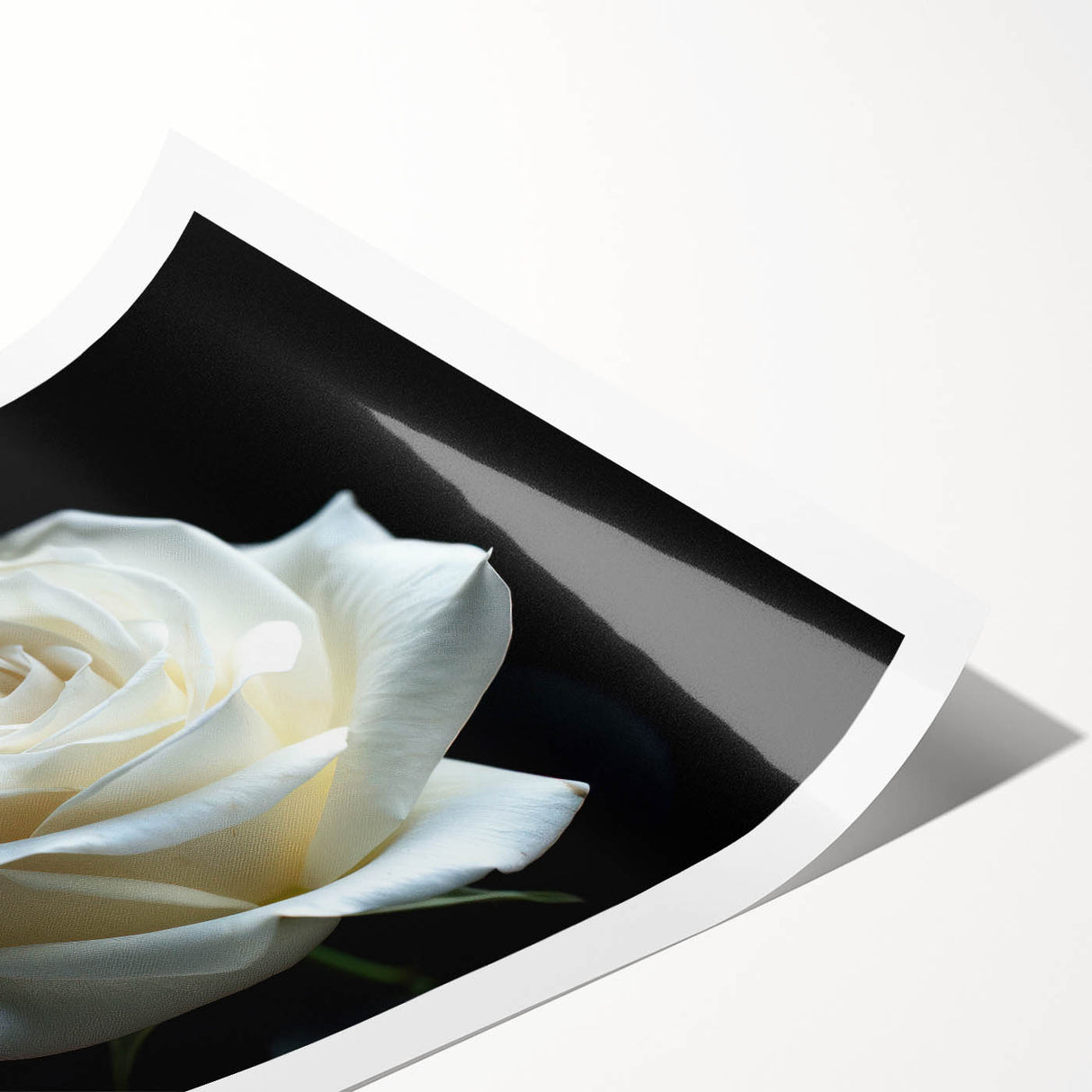 Botanical wall art print showcasing a delicate rose design with intricate details, ideal for home decor. Rolled and ready for framing, featuring soft pastel colors.