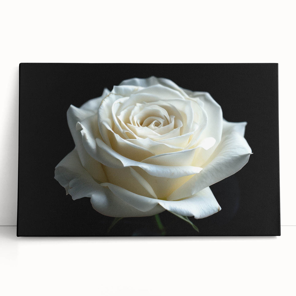 Botanical wall art featuring a stunning rose design on stretched canvas, elegantly leaning against a textured surface, perfect for home decor enthusiasts.