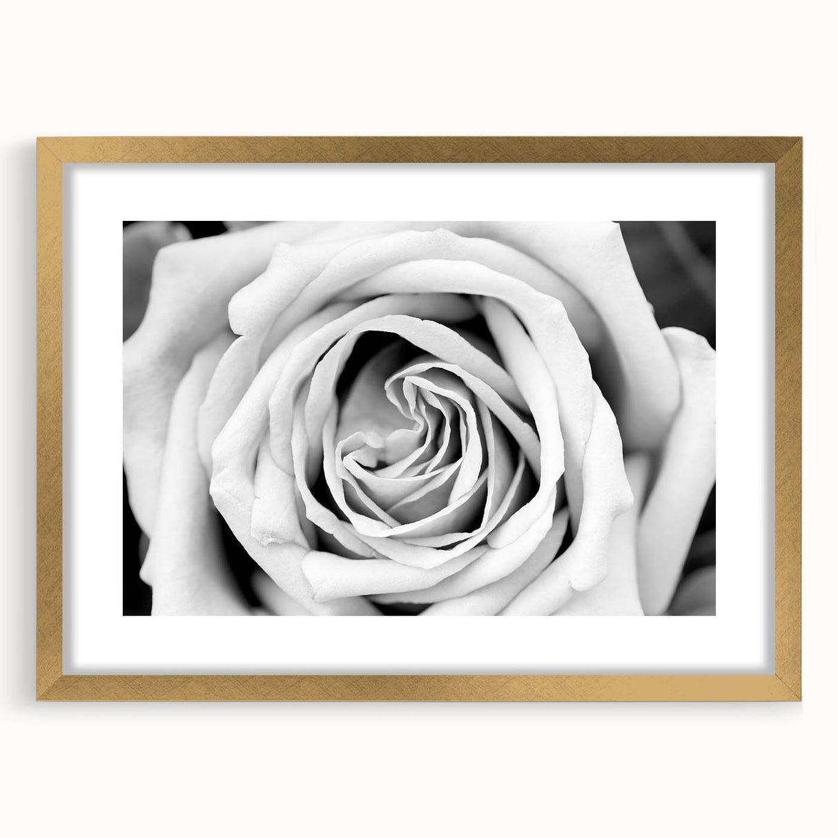 Botanical rose wall art design in a gold frame with matting, showcasing delicate floral details and elegant styling, perfect for home decor enhancement.