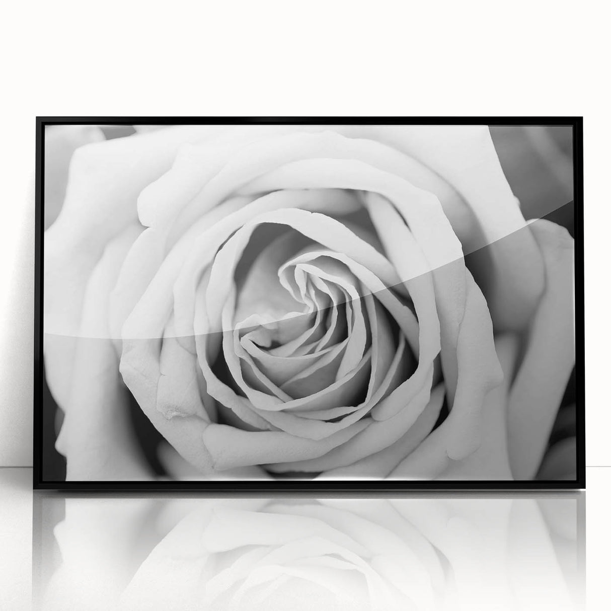 Framed wall art featuring a botanical rose design in vibrant colors, showcasing intricate floral details on a black background, perfect for modern home decor.