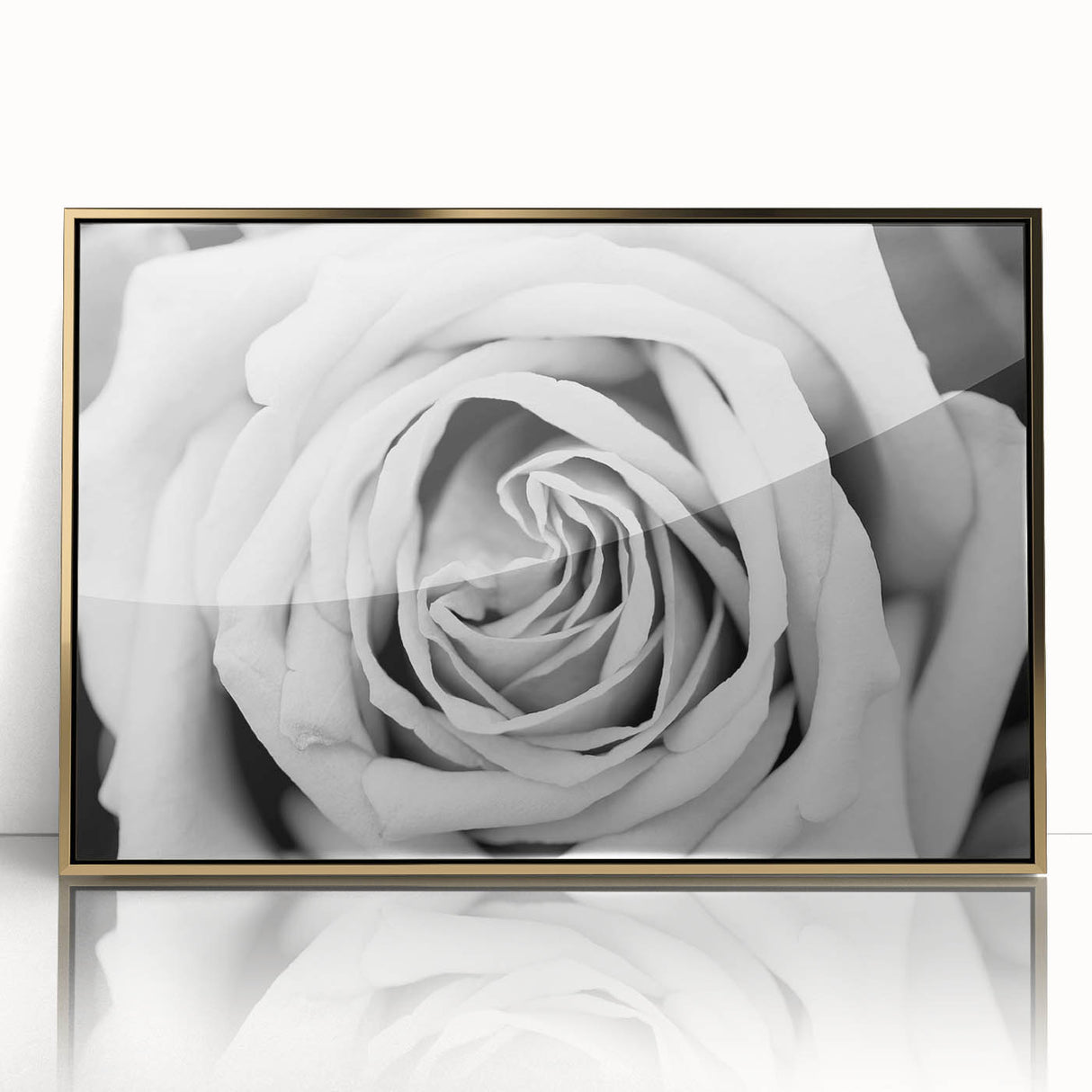 Framed wall art featuring a botanical rose design with intricate details, elegant gold accents, and a modern acrylic finish, perfect for home decor.