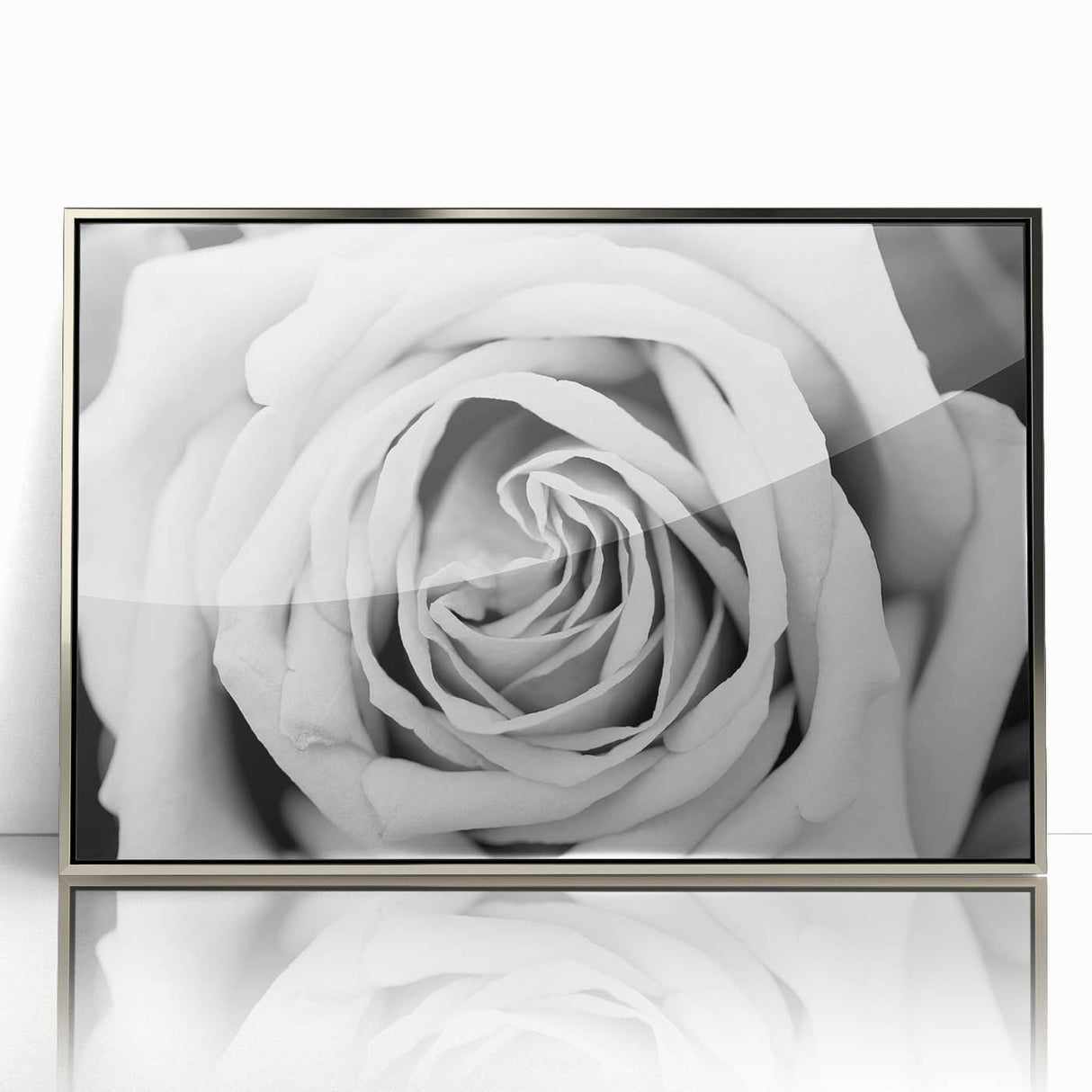 Framed acrylic wall art featuring a botanical rose design in silver, showcasing vibrant colors and intricate details, perfect for home decor and floral enthusiasts.