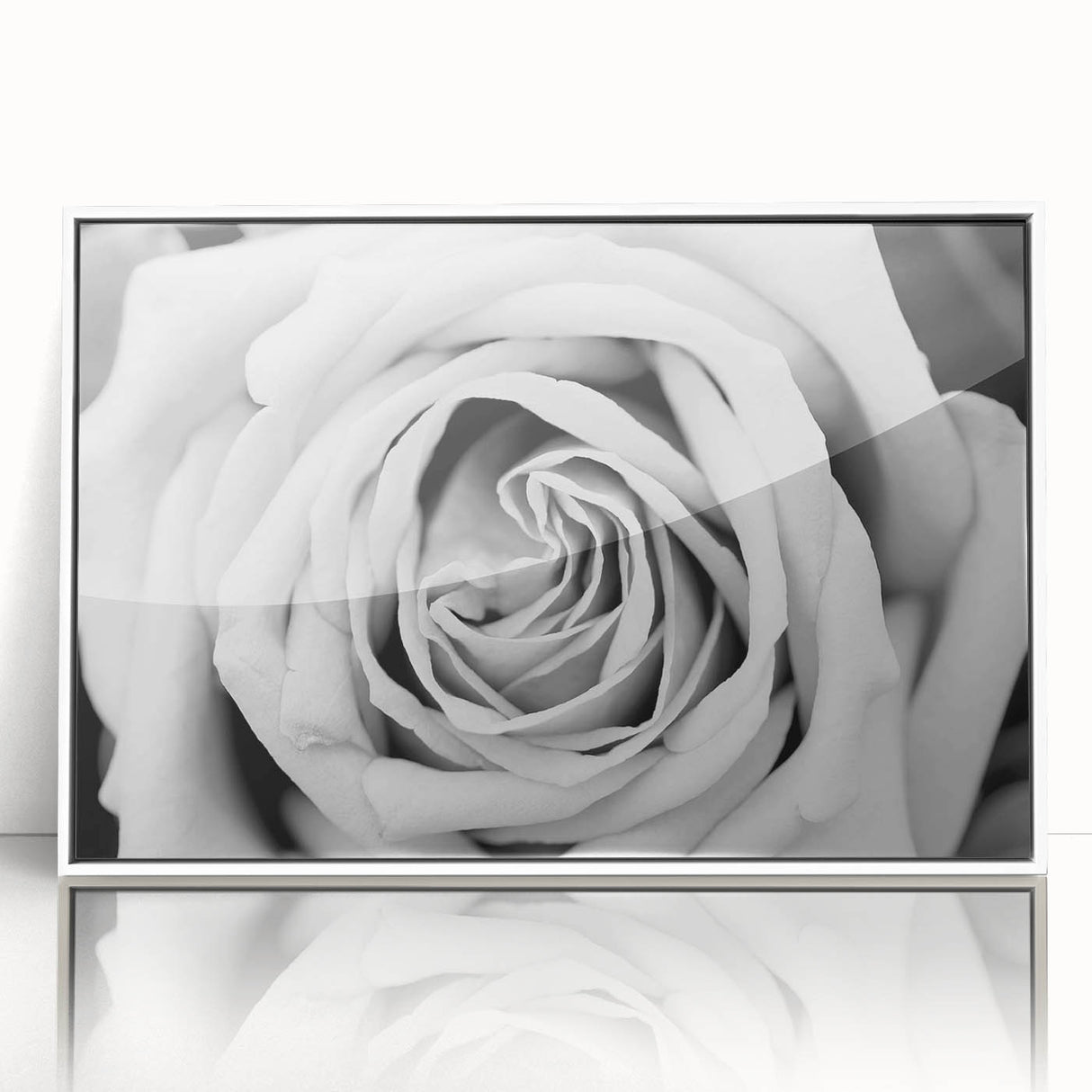 Framed botanical wall art showcasing a delicate rose design in soft pink and white hues, elegantly displayed with a sleek white frame, perfect for home decor.