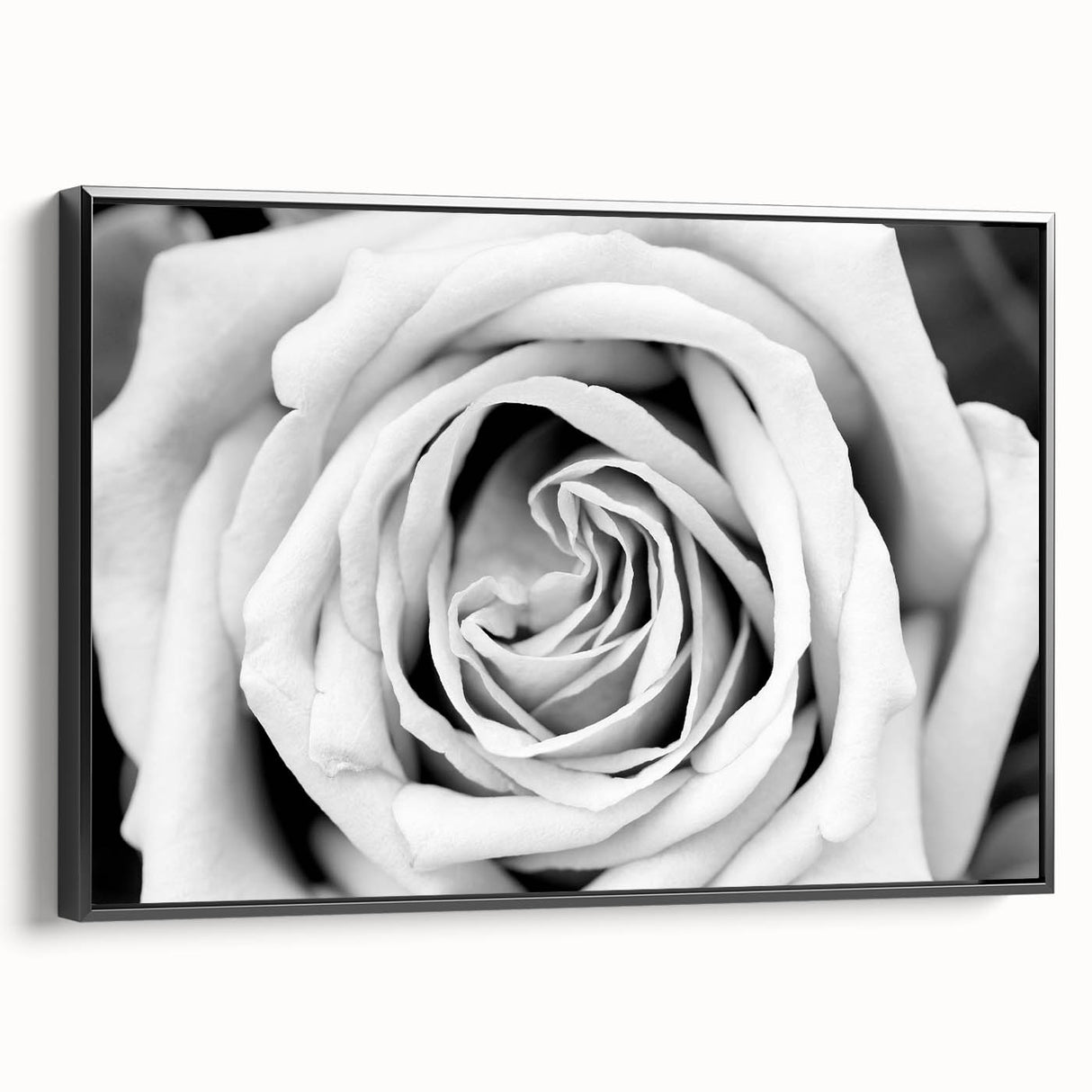 Framed wall art featuring a botanical rose design on black canvas, showcasing vibrant floral details and a sleek side view, perfect for home decor.