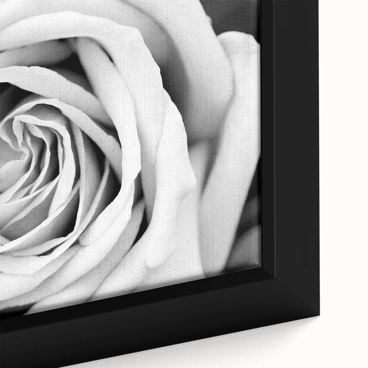 Close-up of a framed botanical rose wall art piece, showcasing intricate floral details and vibrant colors, ideal for adding elegance to home decor.