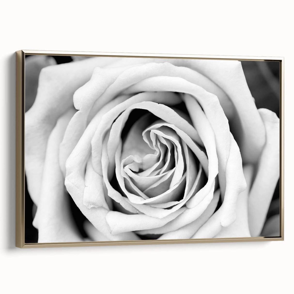 Framed wall art showcasing a botanical rose design, featuring intricate floral details and a luxurious gold frame, perfect for home decor enhancement.