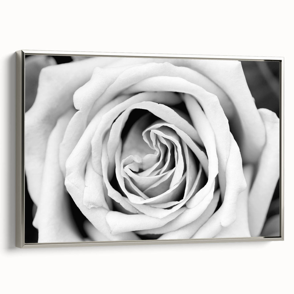 Framed canvas wall art showcasing a botanical rose design in a silver frame, elegantly displayed from a side view, perfect for home decor and floral enthusiasts.