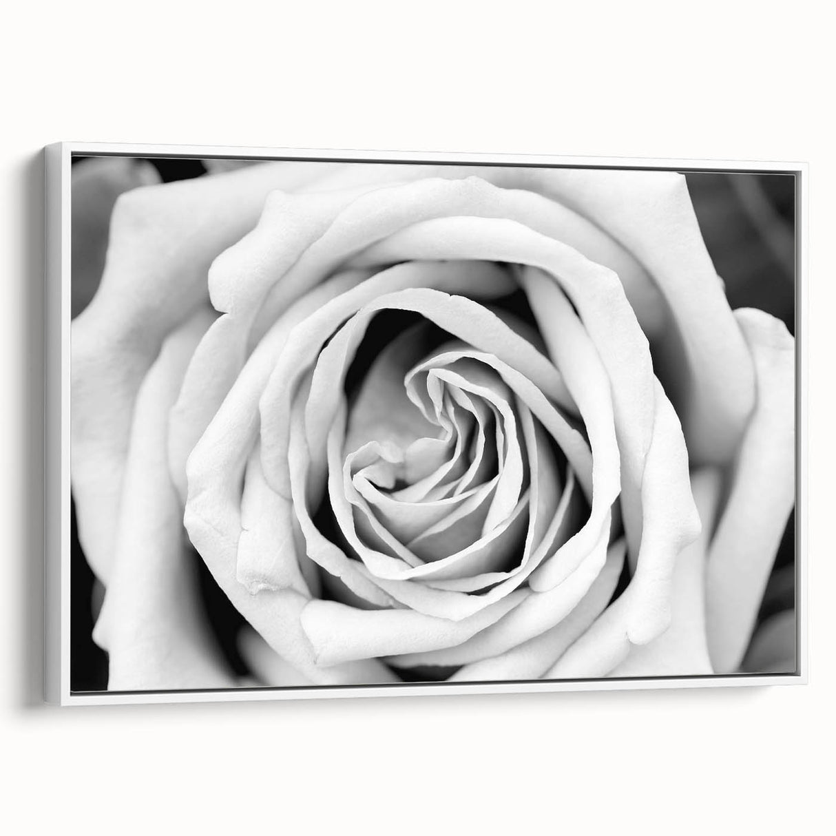 Framed wall art featuring a botanical rose design in soft pastel colors on a white background, showcasing a side view to highlight the canvas texture and elegant frame. Perfect for adding a touch of nature to home decor.